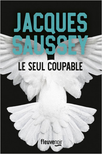 Le seul coupable